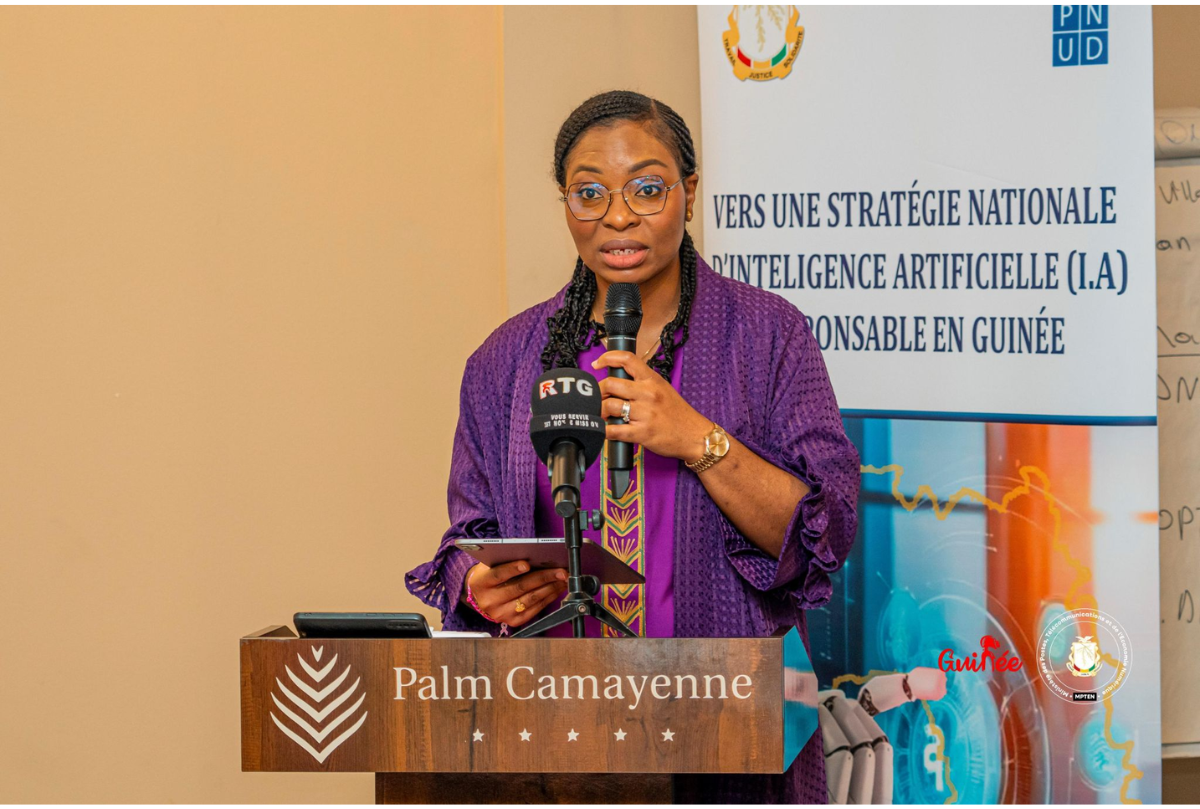 Guinea AI Governance Workshop with UNDP